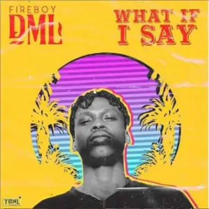 Fireboy DML – What If I Say