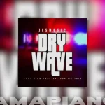 JFS Music ft King Tone & Soa Mattrix – Dry Wave