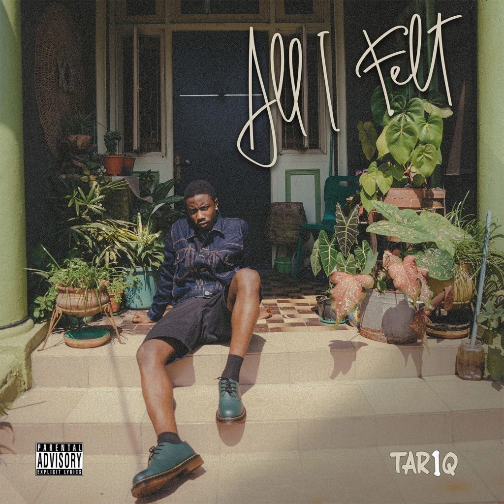 TAR1Q – iN My FeeLinGS