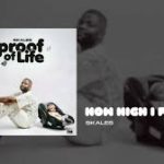 Skales – How High I Feel