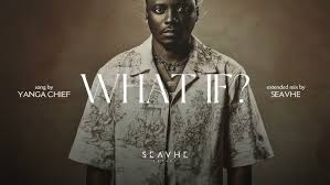 Yanga Chief – What If? (Mngani)